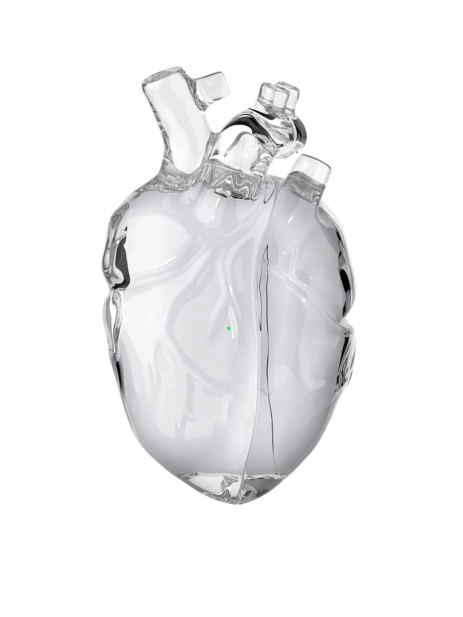 Unisex accessories back view — versatile — Heart AidPods Case for every occasion — Oscar Blackwood
